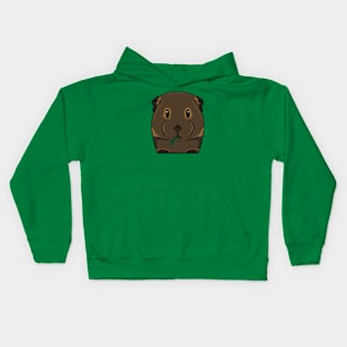 Brown Smooth Coat Guinea Pig Kids Hoodie